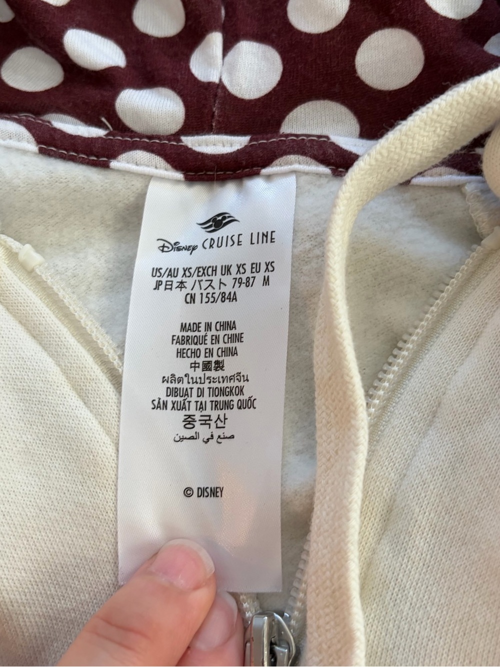Disney Cruise Line Treasure Zip Hoodie - Picture 3 of 4